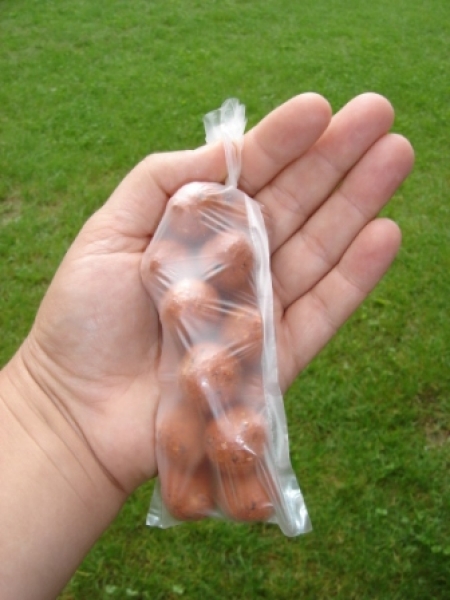 PVA sáček 70x170  20ks